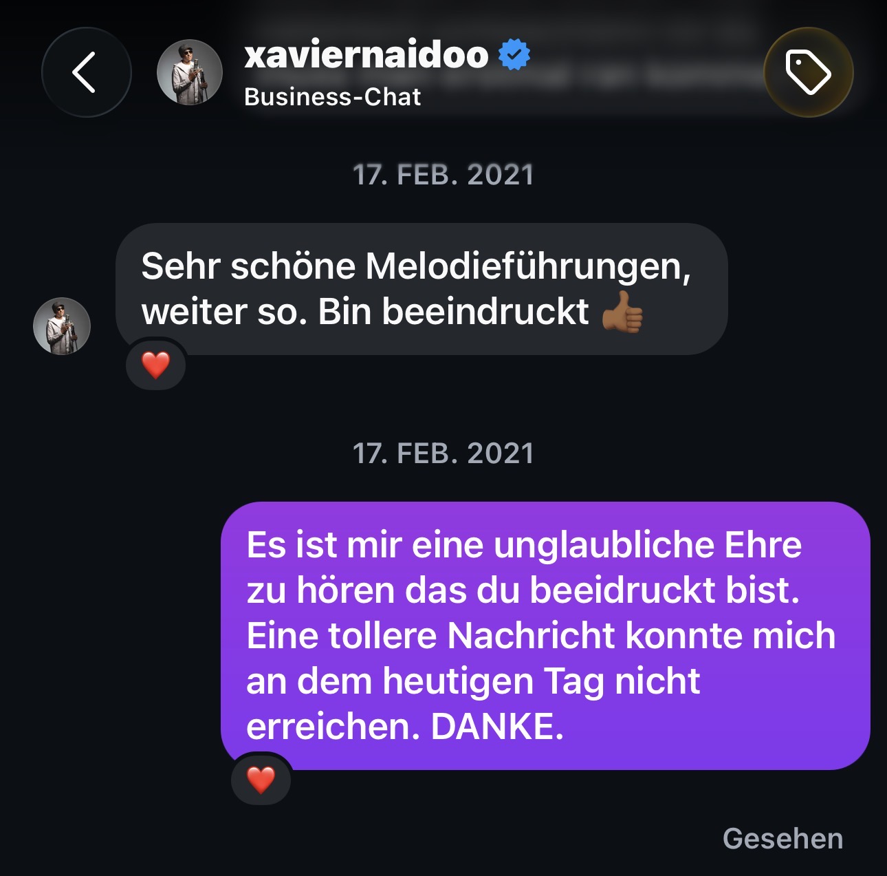 Instagram-Nachricht von Xavier Naidoo mit Feedback zum Song Fels von Skeptika